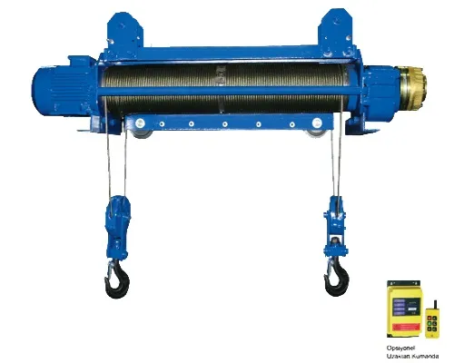 2 Ton 2 Hareketli Sabit Askılı Vinç